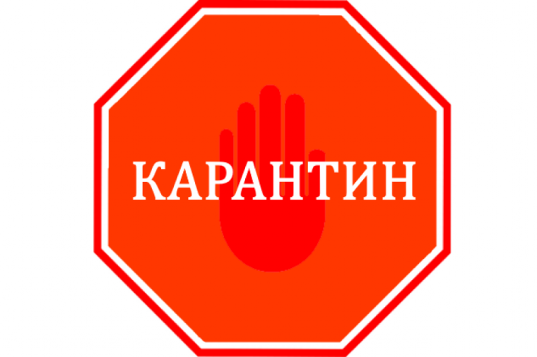 Внимание: КАРАНТИН!.